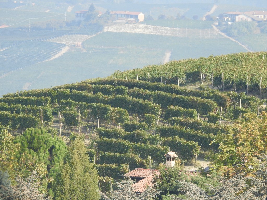 Welcome to my&nbsp;Blog.